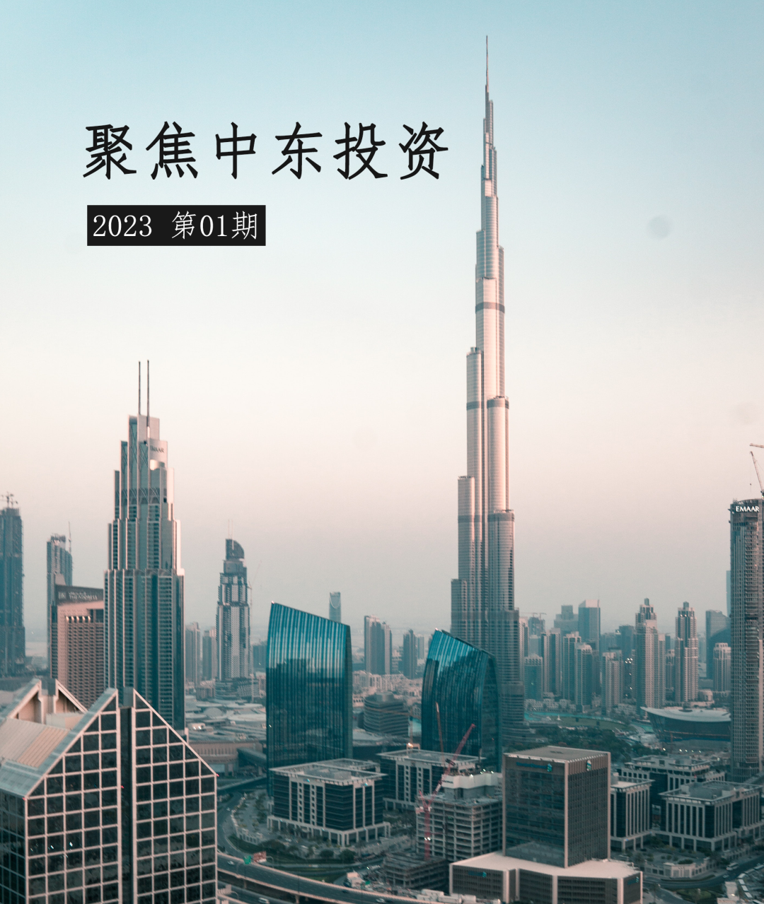 聚焦中东投资之一：在阿联酋自贸区设立实体的方案选择